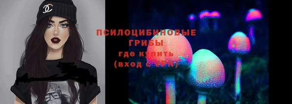 дживик Новокубанск